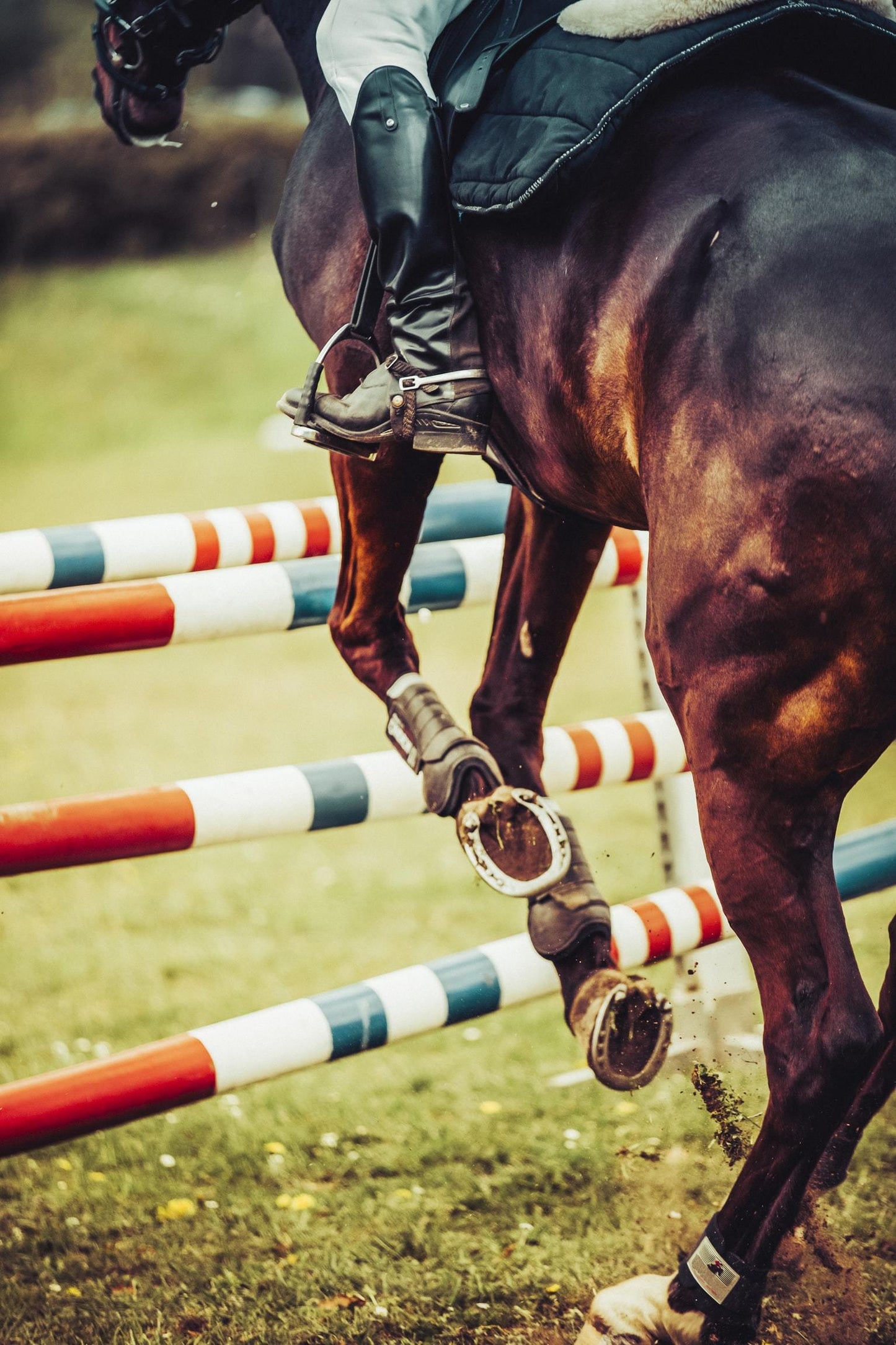 Rally 25th August - Jumping Classes